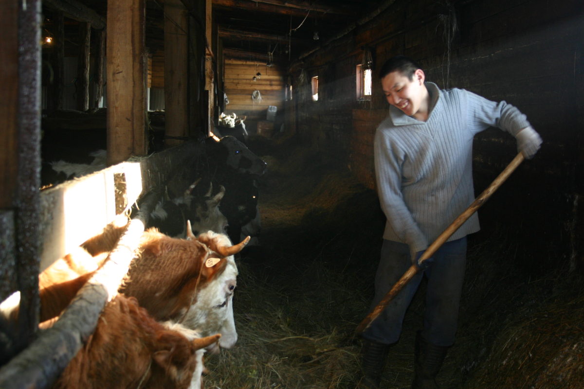 Про сельское хозяйство