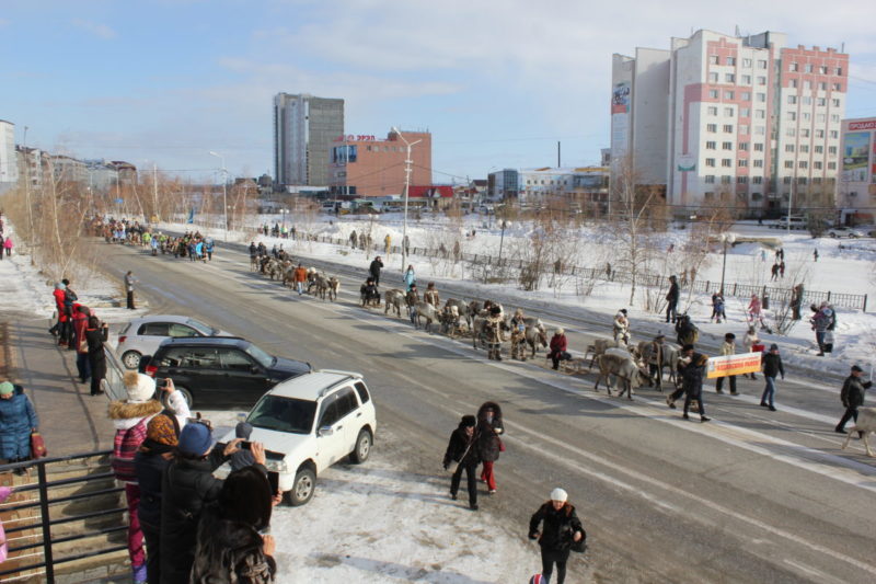 Шли олени по Якутску