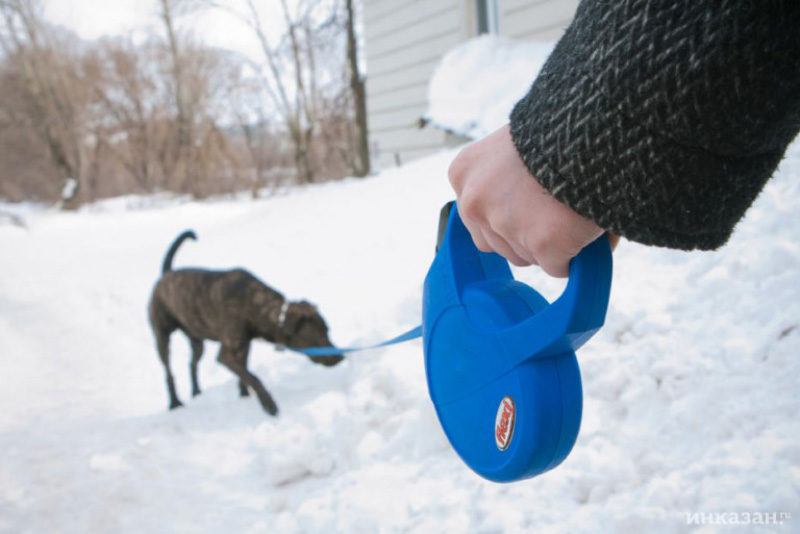Озеро Щорса пора переименовать в Собачье
