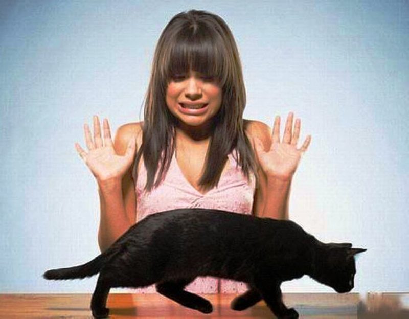 Суеверия — это несексуально 