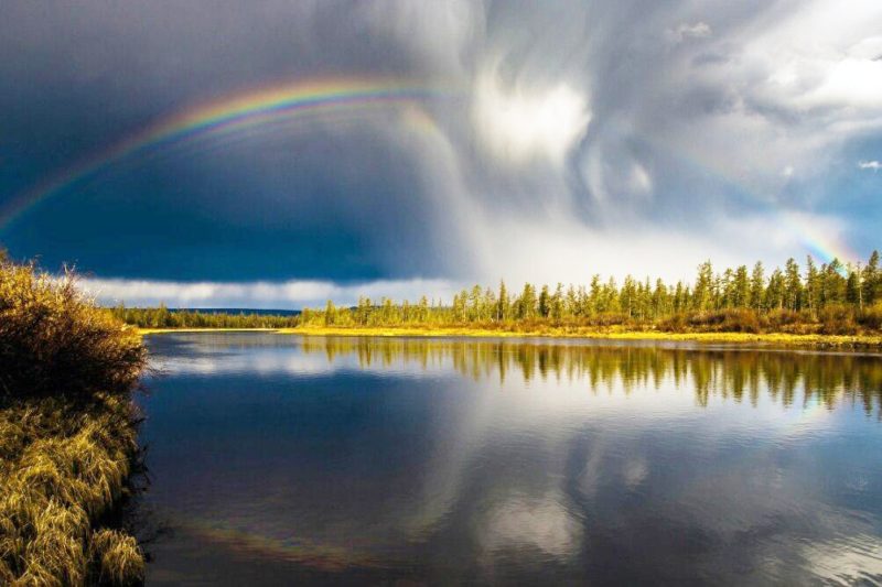 «Марха»: арапом на закон