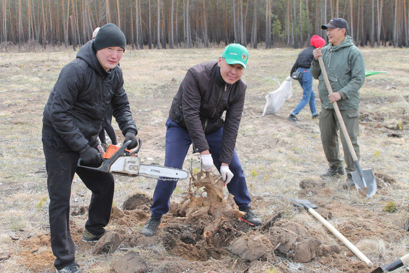 «Тысяча на парк»