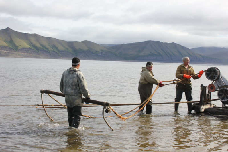 Две проблемы  рыбной отрасли