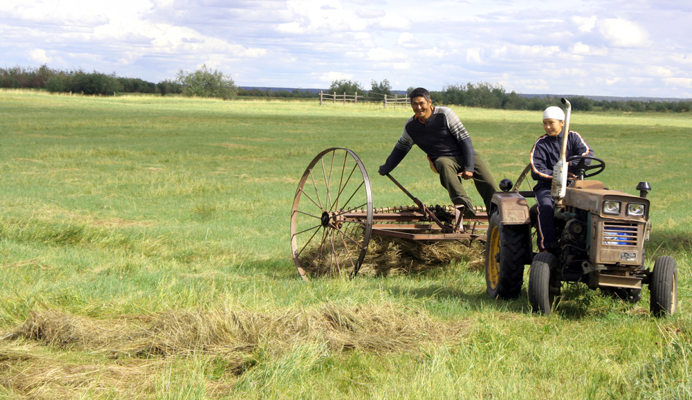 Мода на профессии