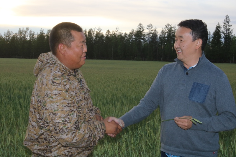 В Усть-Алданском улусе скосят камыш