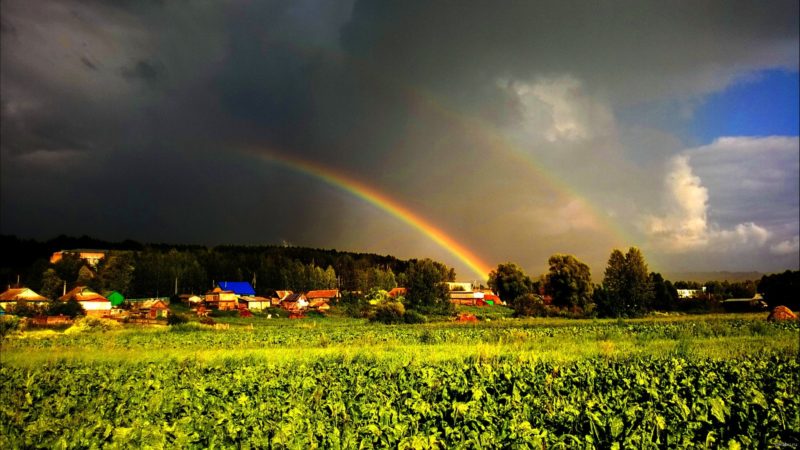 Как я провел лето