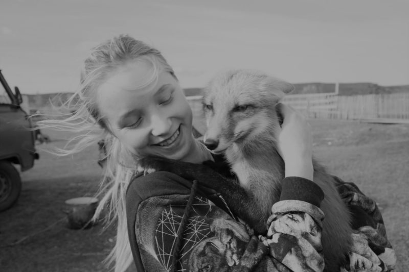 «Мама, можно мы заведем волка?»