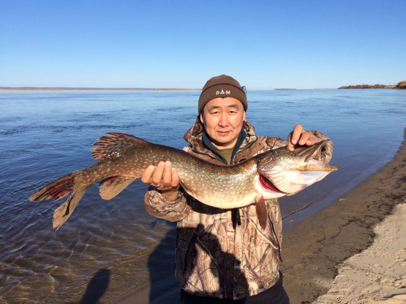 Добрый человек Афанасий Алексеев