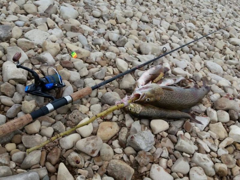 Охота на ленка