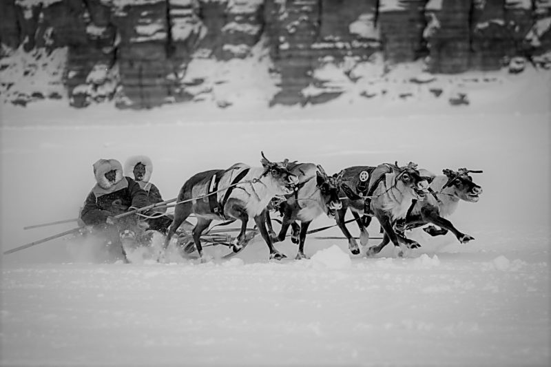 Мне нужно слышать своих оленей