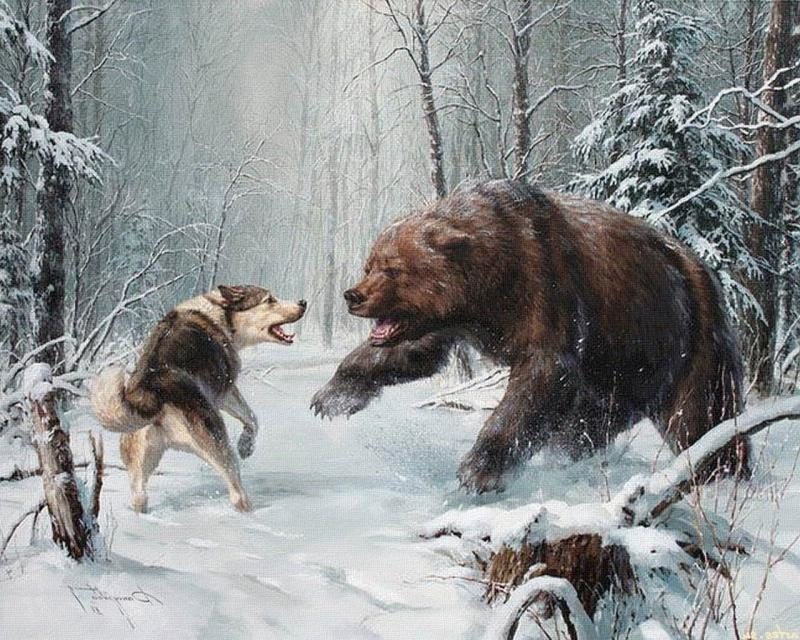 Контактная тренировка собак разрешена