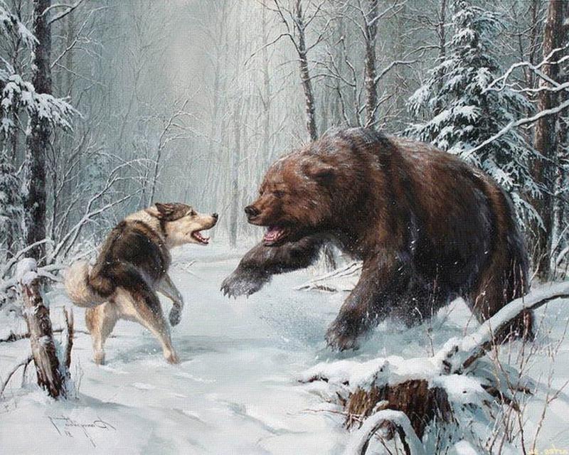 Контактная тренировка собак разрешена