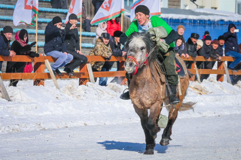 Зачем нам привозные скакуны?