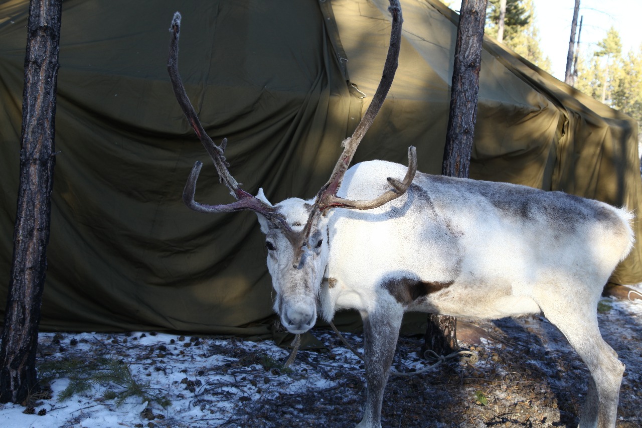 О проблемах без протокола