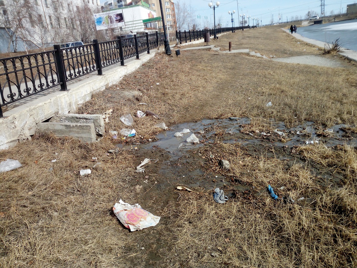 Даёшь экофест!