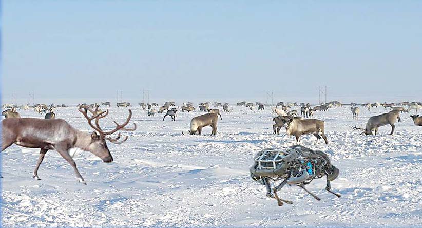 Кибертрон в Арктике