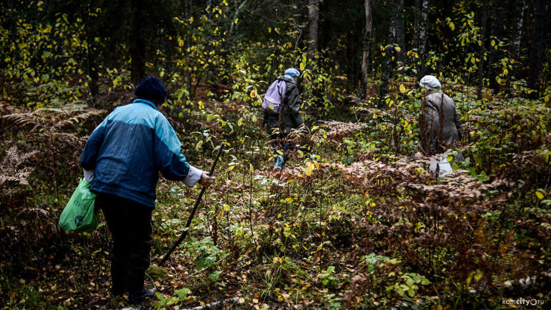 Тихая охота,