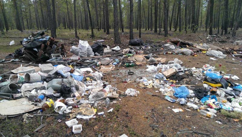 Не будьте городской саранчой