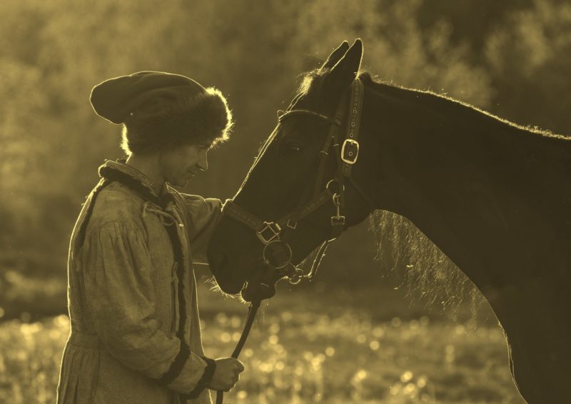 Мы пойдем с конем…