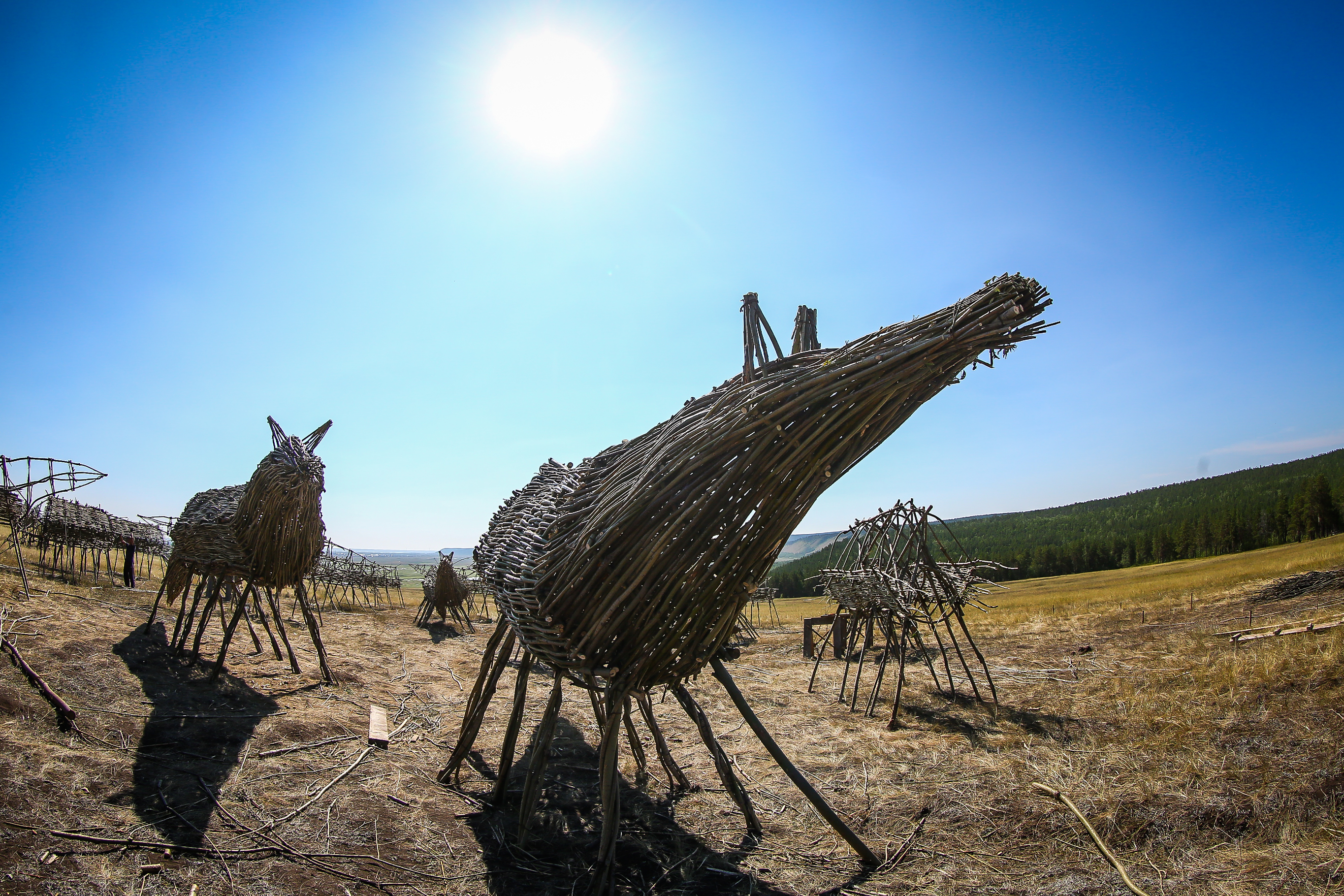 «Священный табун» ждет помощников