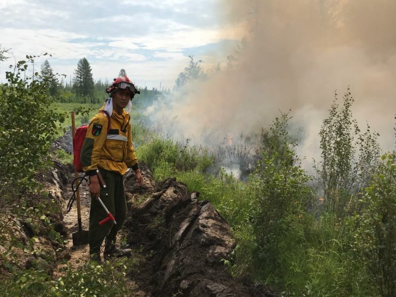 Будни «Авиалесоохраны»
