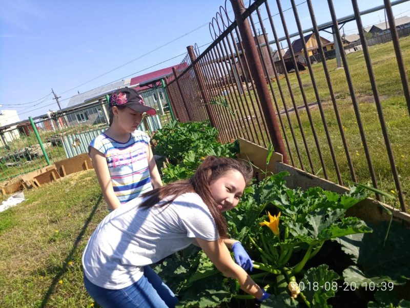 Первые трудовые