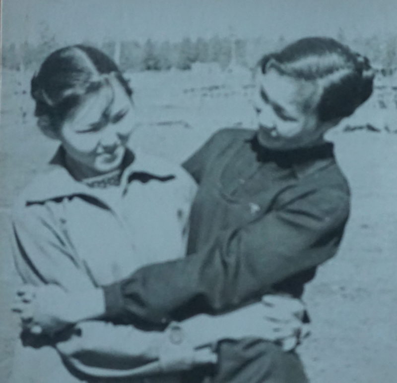 Хорошие девчата, заветные подруги