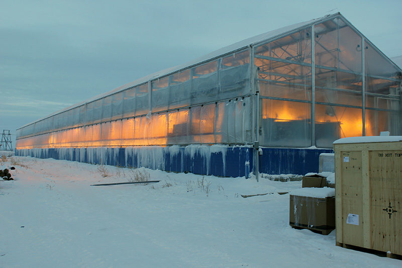 «Саюри»: в режиме рабочего ожидания