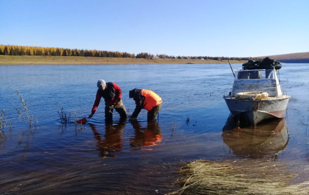 Что обнаружили в водах Вилюя ученые-экологи