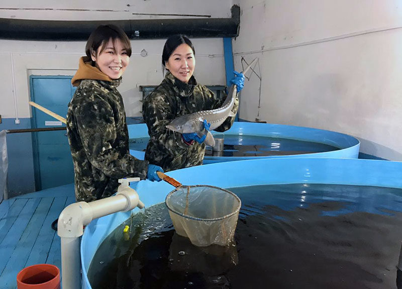 Вот так рыба!